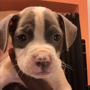 Meet your Posher, Andrew